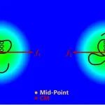 宁波大学徐玉赐教授课题组 Macromolecules: 高分子双链融合的历史过程