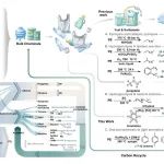 浙江大学王勇教授团队 Angew：老树开新花 - 塑料降解耦合费托过程实现聚烯烃低温高效制轻芳烃