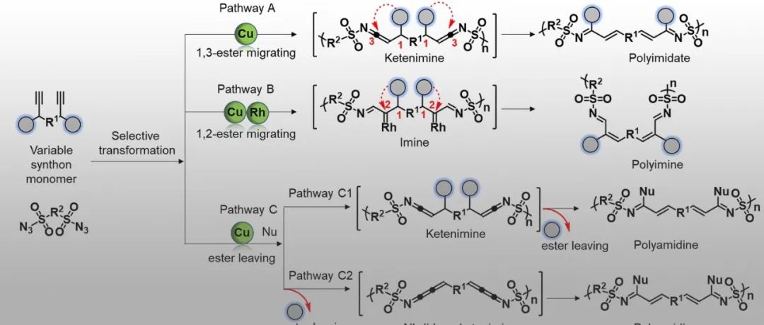 大连理工郑楠课题组《Nat. Commun.》: 基于炔丙酯原位构建多种高活性中间体并实现多聚合路径调控