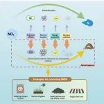 贵州大学何腾霞团队REV. ENVIRON. SCI. BIO.：硝酸盐限制下异化硝酸盐还原为铵比反硝化更具竞争优势