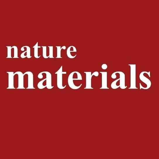 纳米线，Nature Materials!