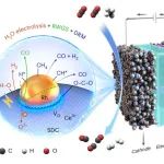 大化所汪国雄团队 电-热催化-甲烷的“超干”重整 | Nature Chemistry：