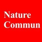 全固态钠离子电池！北京科技大学范丽珍，最新Nature子刊！