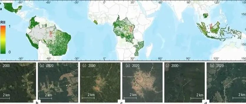 Nature旗下《Communications Earth & Environment》发文揭示道路建设对全球热带森林丧失的影响