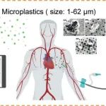 输液袋会释放微塑料！复旦大学研究发现，一次输液，数万个微塑料颗粒进入血液