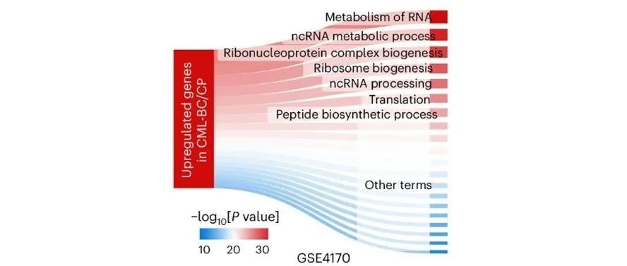 文献分享| Nat. Cell Biol：PABPC1 相分离的选择性翻译控制调节了慢性粒细胞白血病的爆发危机和耐药性。