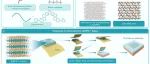 The Innovation Materials | 分子编织：打造超韧2D材料新未来
