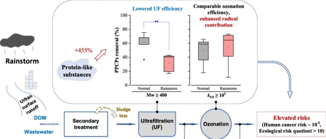 文献速递｜上海交大强志民教授课题组WR：暴雨条件下超滤-臭氧工艺用于城市污水回用的性能：DOM 涌现对微污染物去除影响及相关风险