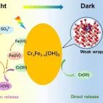 西安建筑科技大学雷大士副教授EST｜可见光下亚硫酸盐诱导铬渣中Cr(III)的释放和氧化：Fe(IV)中间体的关键作用
