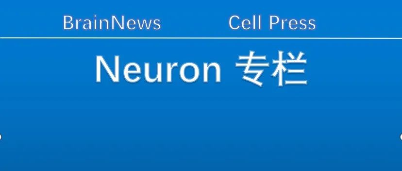 Neuron：新型下行痛觉调控中心！刘元渊/周文杰/黄天文合作为开发新型疼痛治疗策略提供了潜在的干预靶点