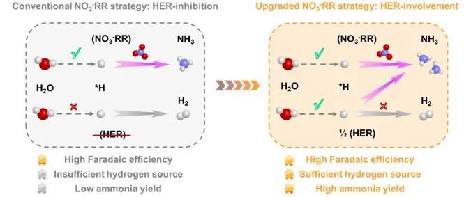 中南大学林璋团队刘学明Angew：晶面调控加氢路径实现工业废水硝酸根资源化回收