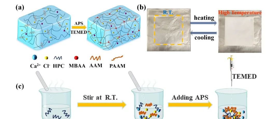 KAUST甘巧强教授团队 AFM：热致变色水凝胶实现智能窗膜 - 车辆降温10°C，无需额外能耗