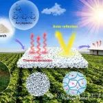 美国东北大学郑义教授课题组JMCA：可持续降温的超白淀粉薄膜