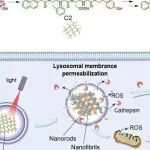 ACS Nano丨温州医科大学李纪良等团队合作开发特异性破坏溶酶体并有效抑制肿瘤细胞的原位双网络组装体
