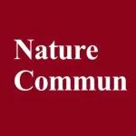 获3位审稿人一致好评！安徽大学，第一单位发Nature子刊！