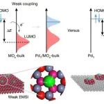 中国科学技术大学最新Nature！