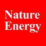 重磅！Nature Energy：柱状富镍正极助力高能量、长寿命全固态电池