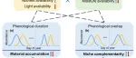 New Phytologist | 兰州大学研究人员发现物候对氮添加的响应降低了高寒草甸群落生物量稳定性