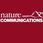 刘熙俊教授团队Nature Commun.：单原子协同硫空位助力高性能硫-碘液流电池