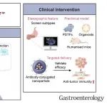 Gastroenterology | 复旦大学虞先濬等团队表明胰腺癌中基质硬度调节的IGF2BP2通过鞘磷脂代谢驱动免疫逃逸