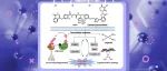 【J. Med. Chem.】中山大学鄢明/张学景团队：Pt(IV)-PROTAC复合物提升抗癌活性与透膜性