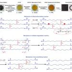 沈阳化工大学李东翰、赵大伟等 Adv. Mater.：“逆向分子重构”实现高性能先进反应型高含氟低聚物合成