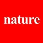 ORR电催化! 北大「长江学者」，最新Nature子刊！