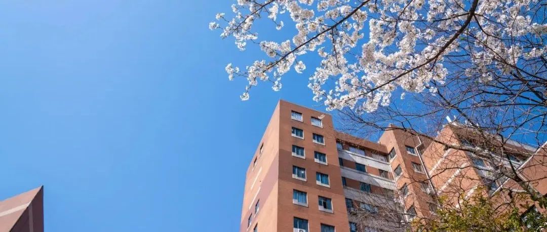 复旦大学郁琦团队: 化学驱动的全新机器学习势构建方案 | Nature Computational Science