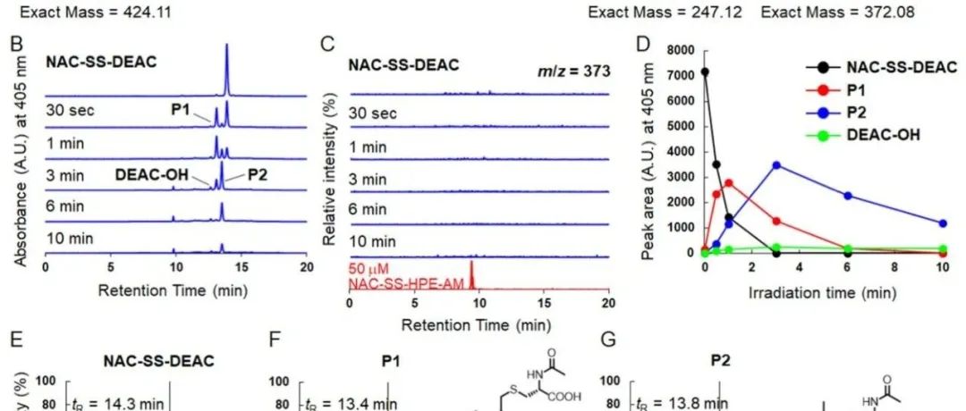 J. Am. Chem. Soc. | 光解硫代亚砜形成的偶然发现：可见光诱导过硫化物在生物系统中的应用