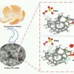 北京师范大学敖志敏团队JHM：锰基生物炭诱导的过氧单硫酸盐活化促进苯酚降解——被忽视的C–O–Mn位点