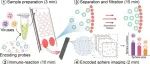 Nano Letters.深度学习辅助的基于智能手机成像转码系统的微流控免疫分析用于现场和多重生物传感