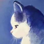 Nat. Commun.：方酸阴离子插层增强碱性OER的催化稳定性