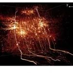 福建医科大学付志飞团队-超稳定荧光探针 | Nature Methods