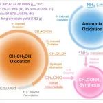 Nat Commun | 电子科技大学董帆教授团队在发表自由基介导C-N偶联最新研究成果