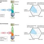 研究进展：3D细胞的成像分析 | Nature methods