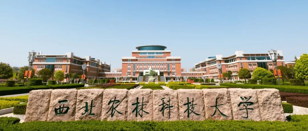 西北农林科技大学农学院毛虎德研究员团队在小麦干旱胁迫应答方面取得重要进展
