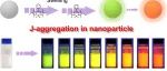 Nano Letters.J 聚集体荧光纳米粒子具有多色性能，可实现灵敏的 LFIA 平台