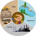 E&H专栏｜中科院生态环境中心徐明、杜晶晶：利用野外采集蚯蚓为指示生物大尺度评估中国南方韶关的土壤重金属污染