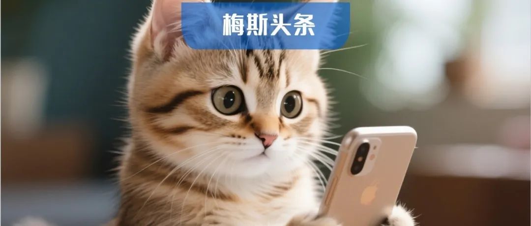 颠覆！玩手机，痴呆风险下降49%？Nature子刊：经常使用电脑、手机、互联网，认知退化风险暴降58％；还能缓解抑郁！