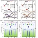 河科大王鑫鑫/南邮牛相宏团队Phys. Rev. B：滑移铁电和压电协同促进光生电子和空穴分离优化全解水性能