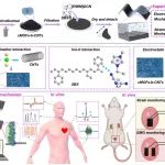 济大赵松方/曹笃霞教授团队与合作者 AFM：混合离子-电子传导和机械互锁结构耦合调控的多功能电极助力生物生理和生物电信号拾取