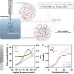 麦吉尔大学李剑宇课题组 Adv. Sci.: 利用超声空化的快速、无引发剂的高性能水凝胶制备方法