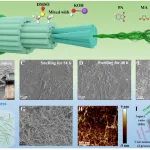 华南师大张振、湖北大学尤俊 Carbohyd. Polym.：“准溶剂”自剥离法低能耗制备纤维素纳米纤维