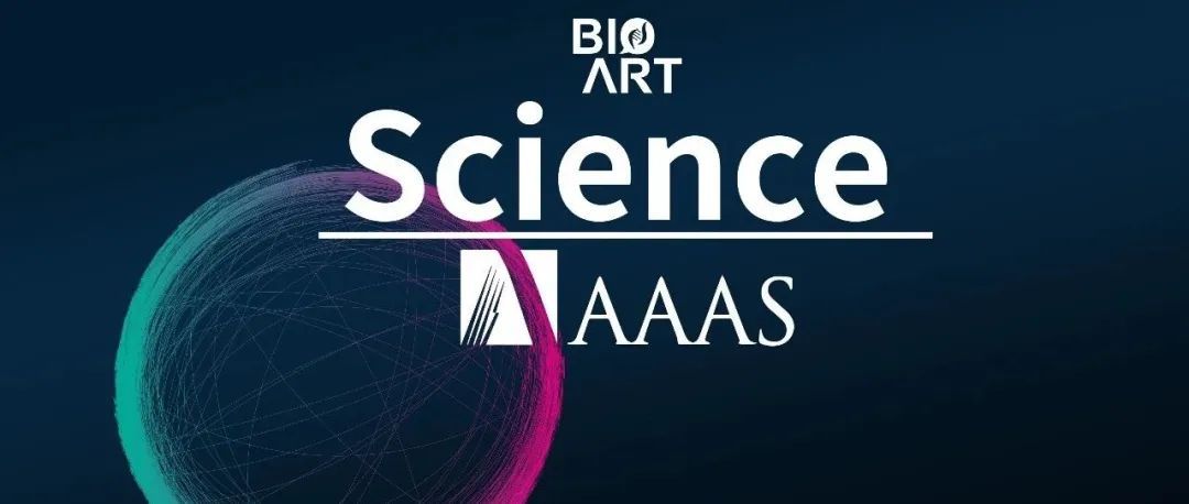 Science丨王琼、杨霞揭示“中年发福”背后的奥秘