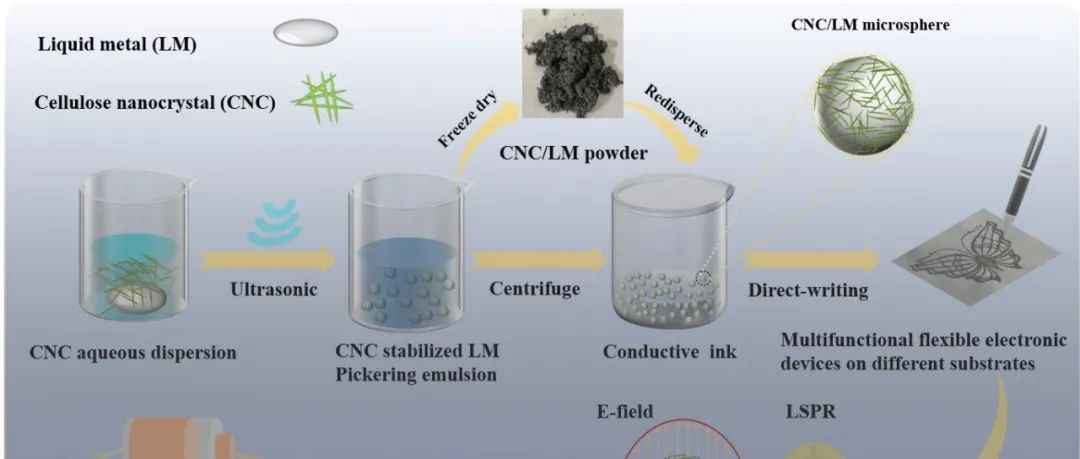 华南师大张振 Small：纤维素纳米晶稳定液态金属Pickering乳液用作光热、导电直写墨水