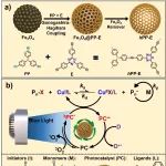 武大蔡韬课题组 Macromolecules：光/磁协同调控-核壳结构Fe&#8323;O&#8324;@共轭微孔聚合物催化双门控ATRP及酶偶联应用