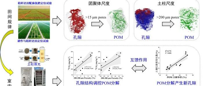 5篇！南京土壤所在土壤颗粒有机质定量表征及其与孔隙结构互馈作用研究中取得进展