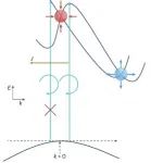 研究前沿：卤化物钙钛矿材料-光电流效应 | Nature Reviews Physics