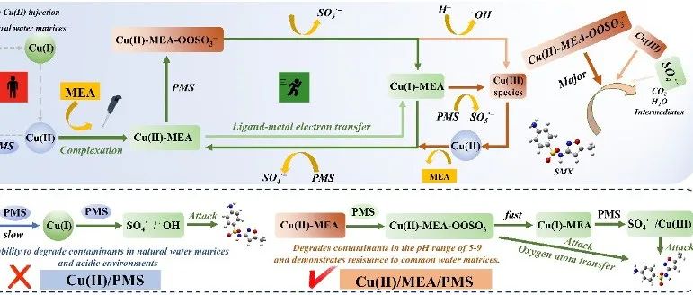 广东工业大学刘冰枝课题组：单乙醇胺调控Cu(II)/PMS降解SMX：Cu(II)-OOSO3-亚稳态结构作用及快速铜物种循环