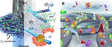 清华大学黄霞团队合作Science Advances：电场限域合成策略制备高效电催化单原子水处理膜